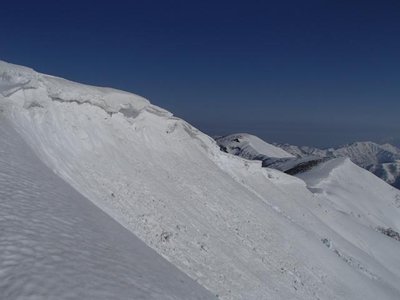 去年のモノとの差はあまり分かりませんね。