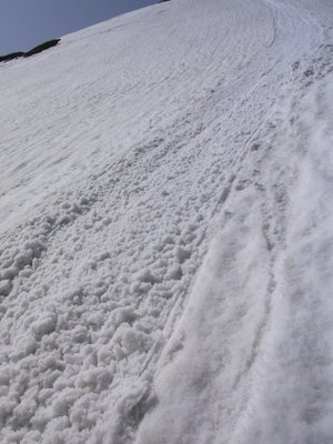 まだ動いてる～