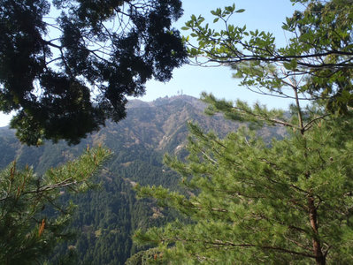 野登山の景観を楽しみながら･････