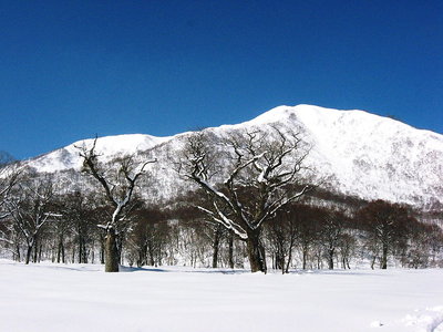 毎年に通ってたよな。