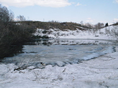 水の枯れない丸池