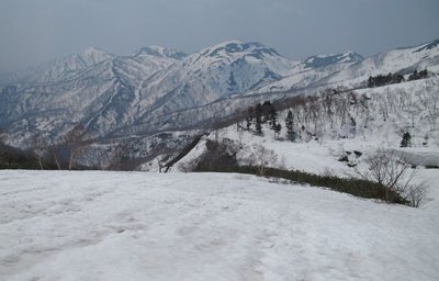 IMG_7246-s.JPG (93.73 KiB) 閲覧された回数 7405 回 昨日の野伏は霞んでました