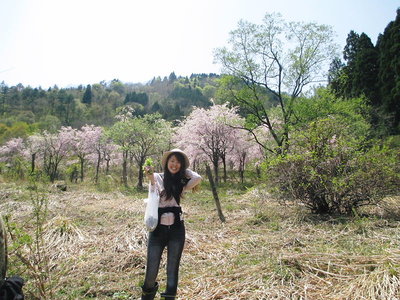 白鳥での山菜つみ、素的な美女に出会いましたよ。<br />たんぽぽさん、好みではないかもですけど。