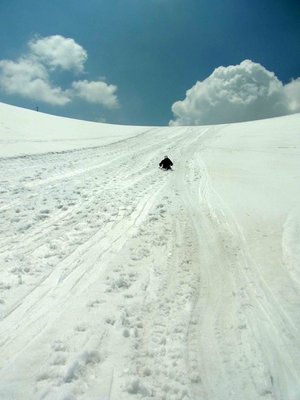 RIMG0042a.jpg (228.54 KiB) 閲覧された回数 7301 回 シリセードで大滑走~