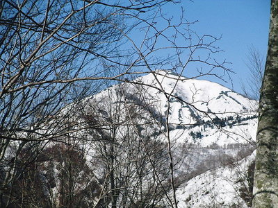 歩いたところ見るもいいもんだワン