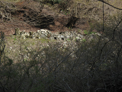 焼き釜２基（７釜）