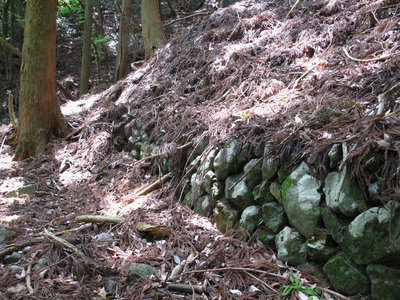 山光銅山の石垣と杉の木