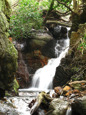 三鉱谷の左岸を巻く５ｍ滝（以前）