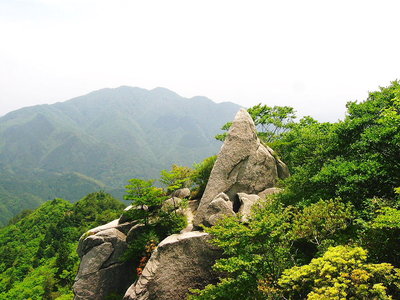 〇 久しぶりにヤシオの咲く道へと行きますた<br />登り口は大石橋からイワクラへです。<br />涼しい風に拭かれて尾根歩きで、神の石のあるところに出ます。<br />ここにはね、お供え物を載せた岩が有り祀りごとをしたところと見てますの。