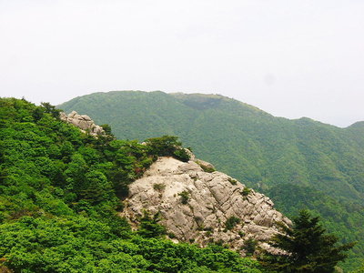 〇 大岩を隔てて入道山が見えるよ、ココは緑ちゃんのお庭です<br />小岐須渓谷源流部は変化有る面白い所だよ、チョイ遊びにホンマ好いところなのさ。<br />夏場は侵入者をヒル部隊がガードしてるからね、気おつけてお遊びくださいね