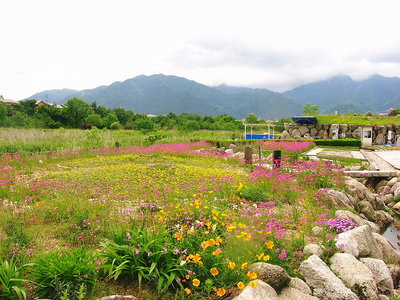 ● お山の帰りは、マイ温泉 マッタリとです。ナデシコ花がきれいに咲く極楽の湯、コンヨクですよ（＾＾）<br />1200ｍからのかけ流し、飲用すれば胃腸が快腸になるよ<br />健康の元は胃腸から言いマス門ね、緑ちゃんナニ食べても美味しいモンナア（＾＾）