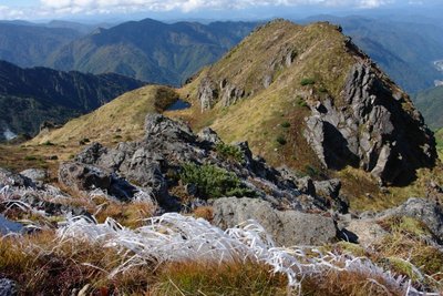 たんぽぽガーデン　その１