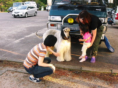 ● 気比の松原でお泊りでしたよ。<br />キス釣りで賑わってる、このワンコお洒落でしょ。<br />パンタロン履いてるんだよ、髪押さえしてね。旅なれたご夫婦です。