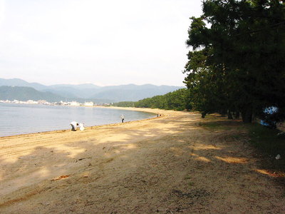 ● 弓なりに砂浜青松が続くよ、堤防がない風景は良いな。<br />伊勢の海も昔はこんなのだったのに、こんな素敵な海岸はもう稀有だね。