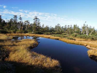 湿原.JPG (175.87 KiB) 閲覧された回数 5389 回 きれいな湿原