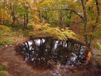 紅葉の幸助の池.jpg (519.12 KiB) 閲覧された回数 8465 回 紅葉が始まっている