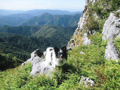 9月26日アワビとお池散策でしたワン