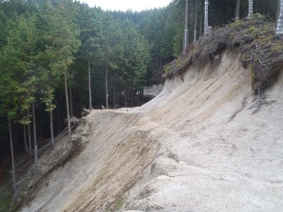崩壊著しい林道