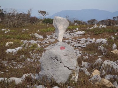 コレッて藤原で流行？