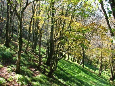 のどかなるランチ場から