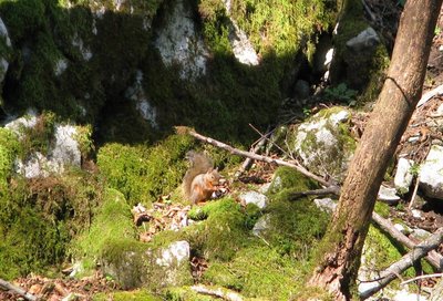ちょっと不鮮明ですが