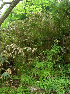 ここから出てきました