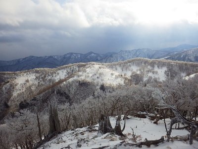 １２月１３日の風景。