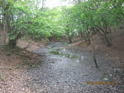 20110610ryu_hutoo 019.jpg (198.17 KiB) 閲覧された回数 18261 回 太尾の長池