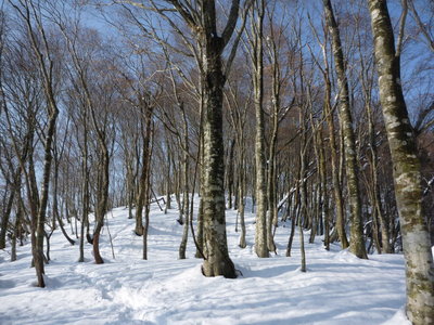 こんなところかも・・・(^^)