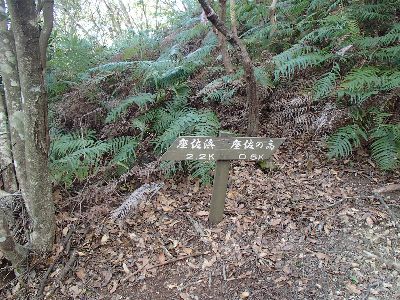 座佐ノ高からの北尾根とＰ３３２を通る南尾根との交差点