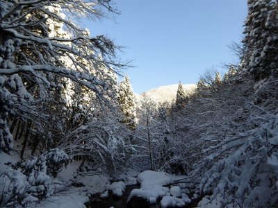 青空が広がってきた