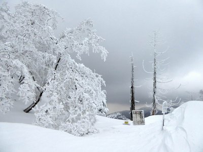 ようやく杉峠に辿り着いた