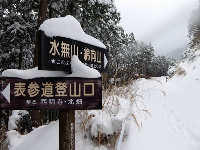 三合目の林道を横断する