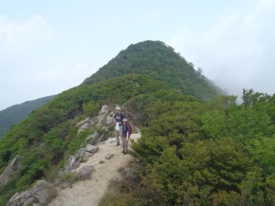 お釈迦様の耳たぶ上で（6/4）・・・・