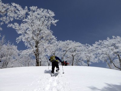 青空をバックに樹氷がきれいだ！