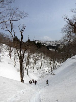 太平の源頭部はこんな感じ