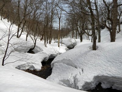 源頭部も雪が溶け始めていた－このあたりは蛇行しています