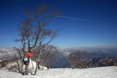 こんなに雪の量が違います