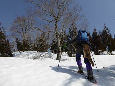 P1010601.JPG (203.58 KiB) 閲覧された回数 12070 回 biwa爺の後に付ける