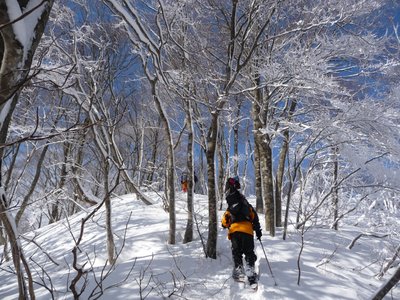 晴れていますね