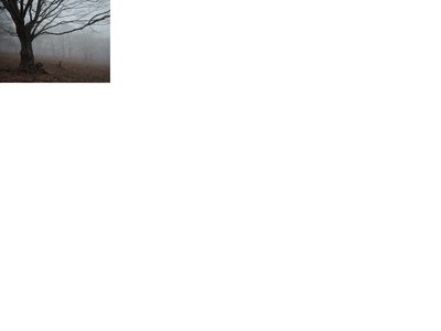 翌日の奥山ピクニック。グーさん予報はザンネンながらでひたすら雨でした。