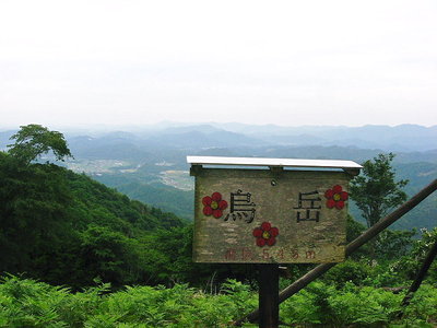 ● 展望は良いのかなあ