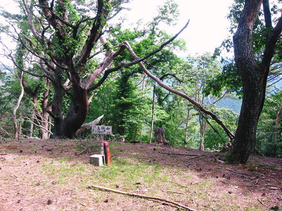 ● 高鉢山山頂は山城の跡かな