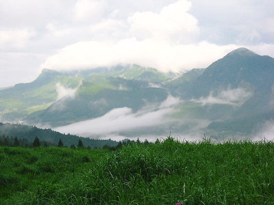 ●　山里の朝ボラケ、目に優しい良い眺めだ