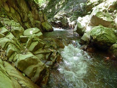 甲森谷のゴルジュ