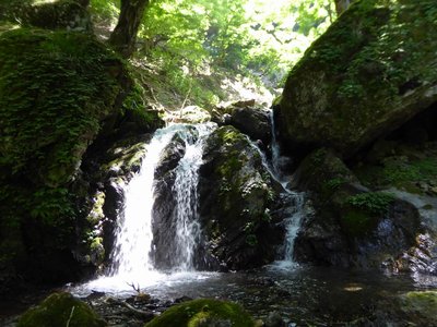 皆さんが越えた左俣の滝ですね