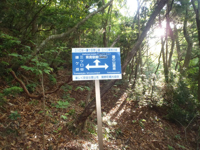 日陰尾根の分岐表示は三ツ口堰堤から少し上った尾根上･････