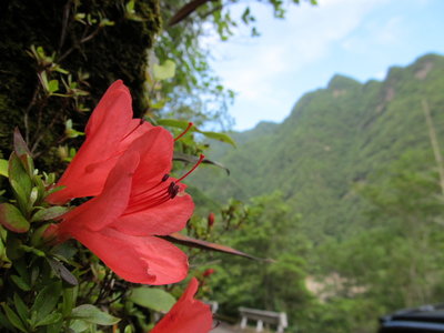 ここにも突峰あるよ