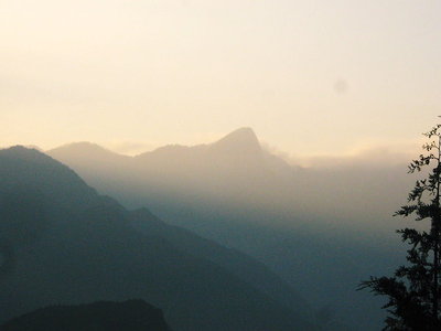 ●　朝霧に浮ぶ行者のエボシ