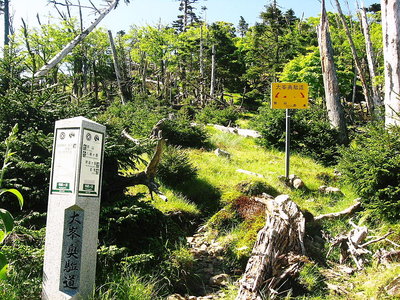 ● 立派な石柱が設置されてる、全部で何ヶ所あるんだろうなあ